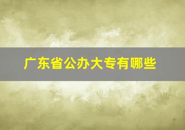 广东省公办大专有哪些