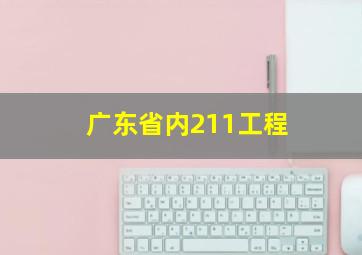 广东省内211工程