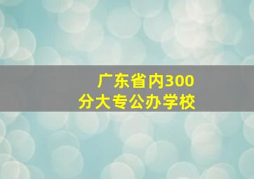 广东省内300分大专公办学校