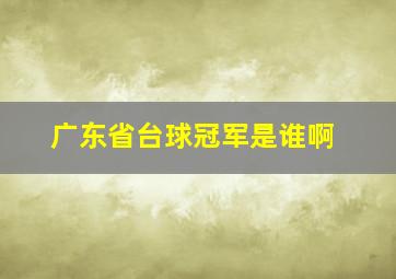 广东省台球冠军是谁啊