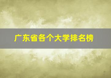 广东省各个大学排名榜