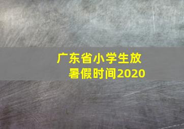 广东省小学生放暑假时间2020