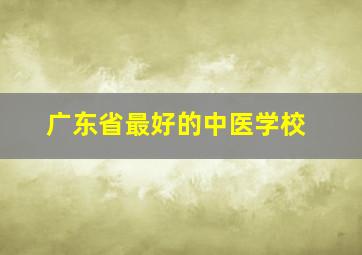 广东省最好的中医学校