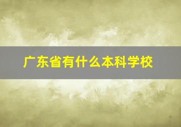 广东省有什么本科学校