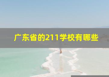 广东省的211学校有哪些