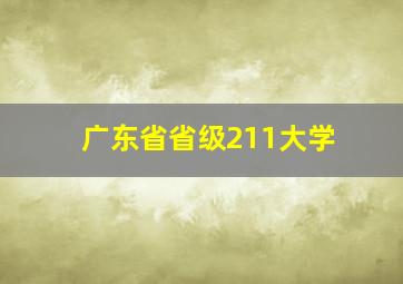 广东省省级211大学