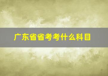 广东省省考考什么科目