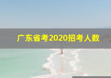 广东省考2020招考人数