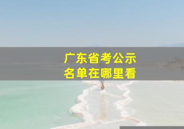 广东省考公示名单在哪里看