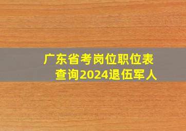 广东省考岗位职位表查询2024退伍军人