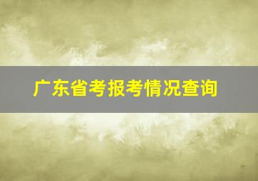 广东省考报考情况查询