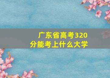 广东省高考320分能考上什么大学