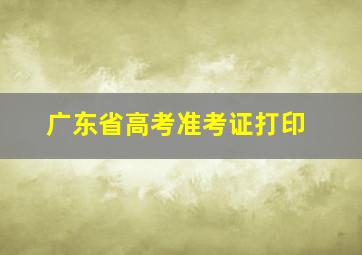 广东省高考准考证打印