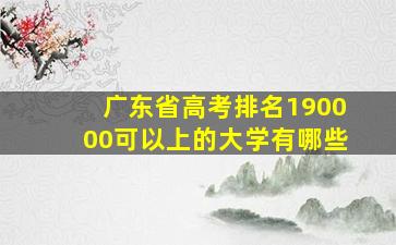 广东省高考排名190000可以上的大学有哪些