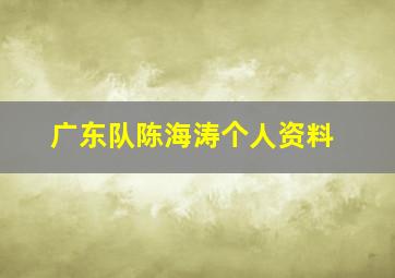 广东队陈海涛个人资料