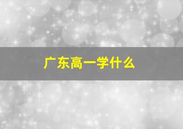 广东高一学什么