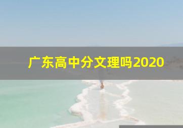 广东高中分文理吗2020