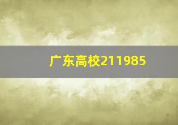 广东高校211985