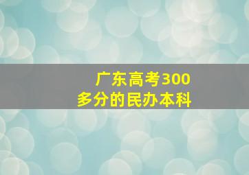 广东高考300多分的民办本科