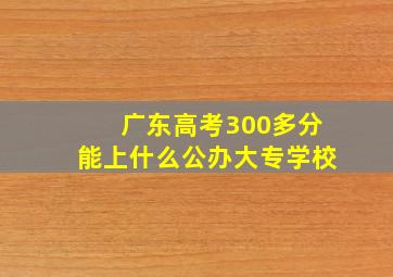 广东高考300多分能上什么公办大专学校