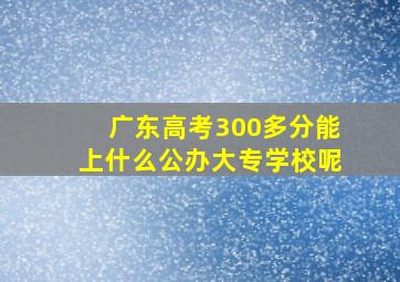 广东高考300多分能上什么公办大专学校呢