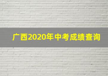 广西2020年中考成绩查询