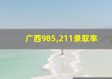 广西985,211录取率