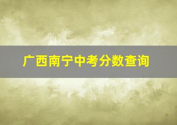 广西南宁中考分数查询