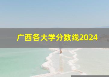 广西各大学分数线2024