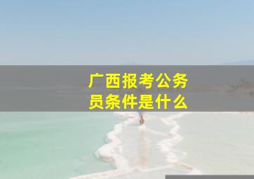 广西报考公务员条件是什么