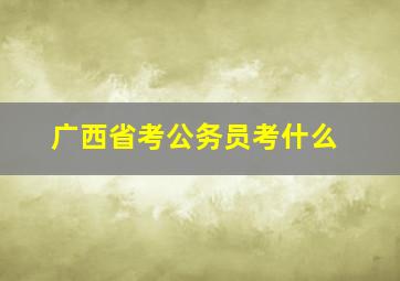 广西省考公务员考什么