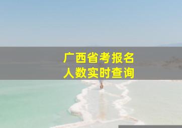 广西省考报名人数实时查询