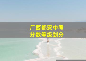 广西都安中考分数等级划分