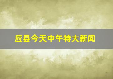 应县今天中午特大新闻