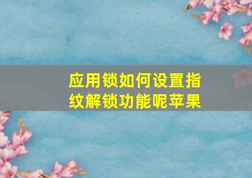 应用锁如何设置指纹解锁功能呢苹果