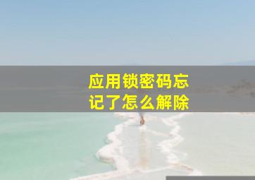 应用锁密码忘记了怎么解除