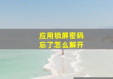 应用锁屏密码忘了怎么解开