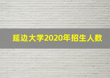 延边大学2020年招生人数