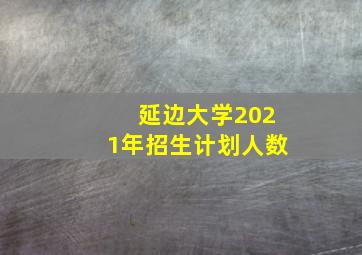 延边大学2021年招生计划人数