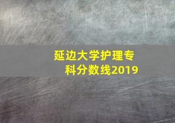 延边大学护理专科分数线2019