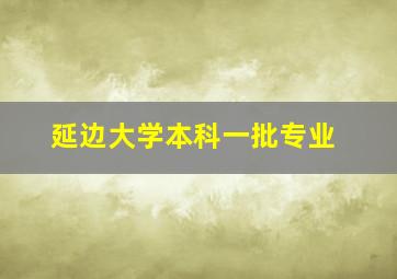 延边大学本科一批专业