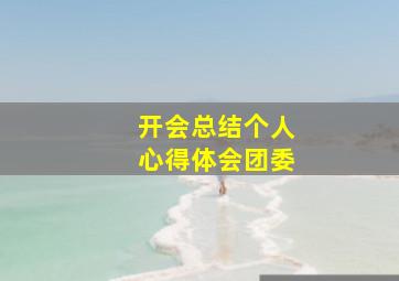 开会总结个人心得体会团委