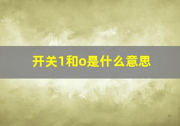 开关1和o是什么意思