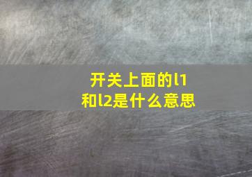 开关上面的l1和l2是什么意思