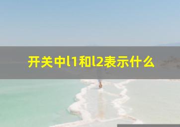 开关中l1和l2表示什么