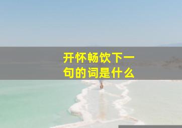 开怀畅饮下一句的词是什么