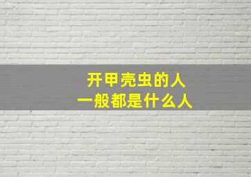 开甲壳虫的人一般都是什么人