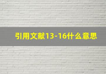 引用文献13-16什么意思