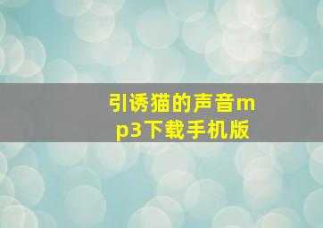 引诱猫的声音mp3下载手机版