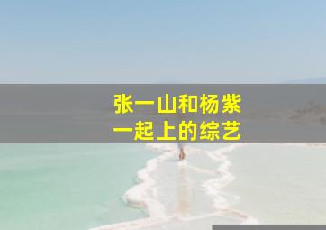 张一山和杨紫一起上的综艺